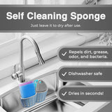 Asiopphire Silicone Sponges for Dishes - 4 Pack Dual-Sided Dish Scrubber - Food Grade, BPA Free Silicone Sponge & Housecleaning