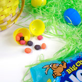 Easter Big Chewy Jelly Beans, Assorted Fruit Flavored Candy, Festive Egg Fillers or Party Favors, 13 Ounces (Pack of 2)