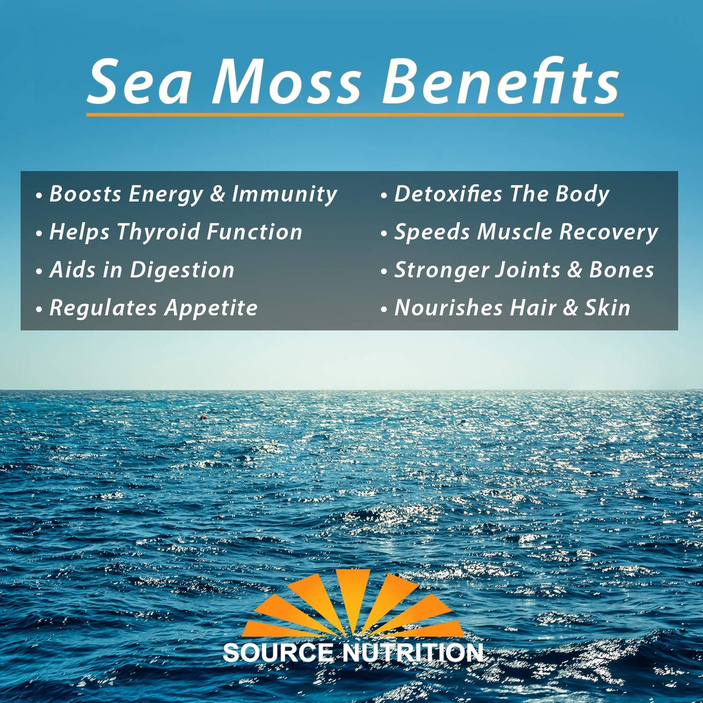 1 lb Wild Crafted Raw Sea Moss - Perfect for Gel & Smoothies, Clean Ocean Harvest, Hand Picked & Sun Dried - Bulk Irish Moss Superfood