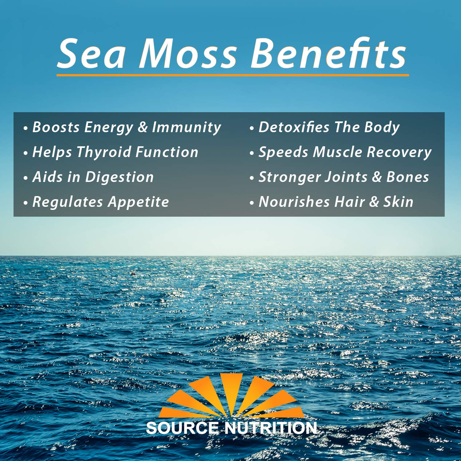 1 lb Wild Crafted Raw Sea Moss - Perfect for Gel & Smoothies, Clean Ocean Harvest, Hand Picked & Sun Dried - Bulk Irish Moss Superfood