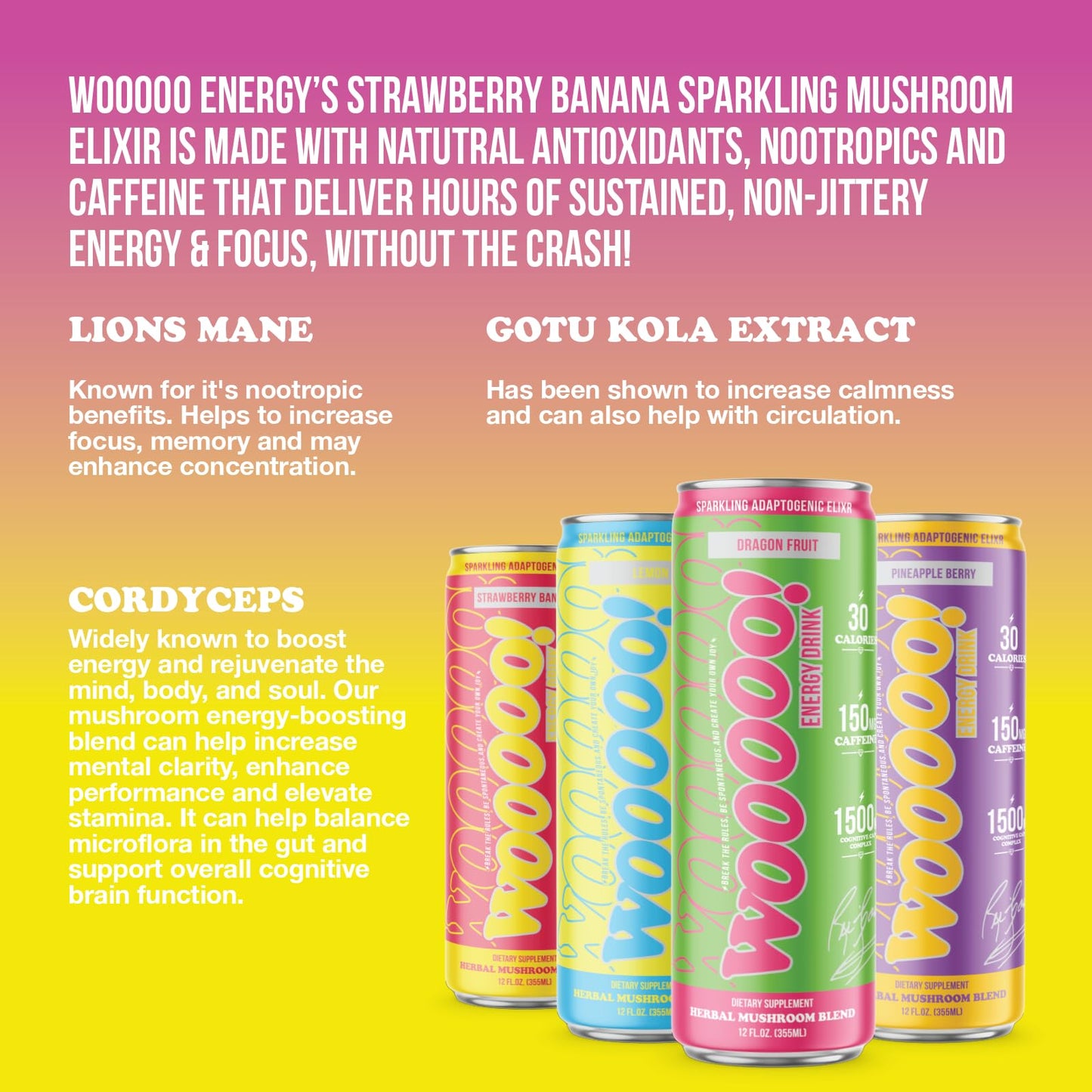 Wooooo! Energy Ric Flair Sparkling Adaptogenic Mushroom Energy Drink | Natural Antioxidants & Nootropics | Lion’s Mane & Cordyceps | 150mg Caffeine |