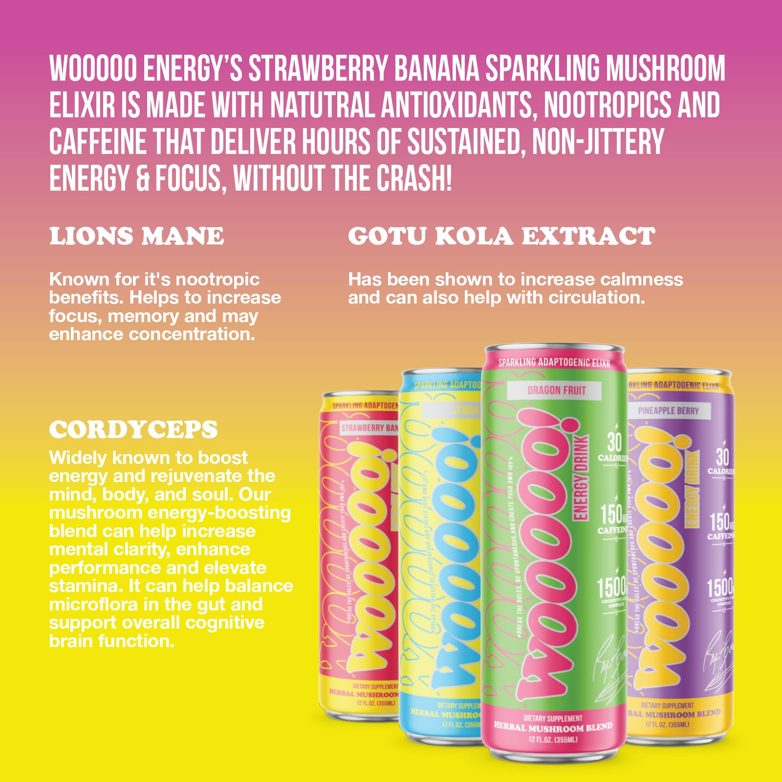Wooooo! Energy Ric Flair Sparkling Adaptogenic Mushroom Energy Drink | Natural Antioxidants & Nootropics | Lion’s Mane & Cordyceps | 150mg Caffeine |