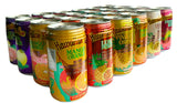 Hawaiian Sun Premium Tropical Juice Drink Party Bundle of 10 Assorted Flavors (24 Cans Total)