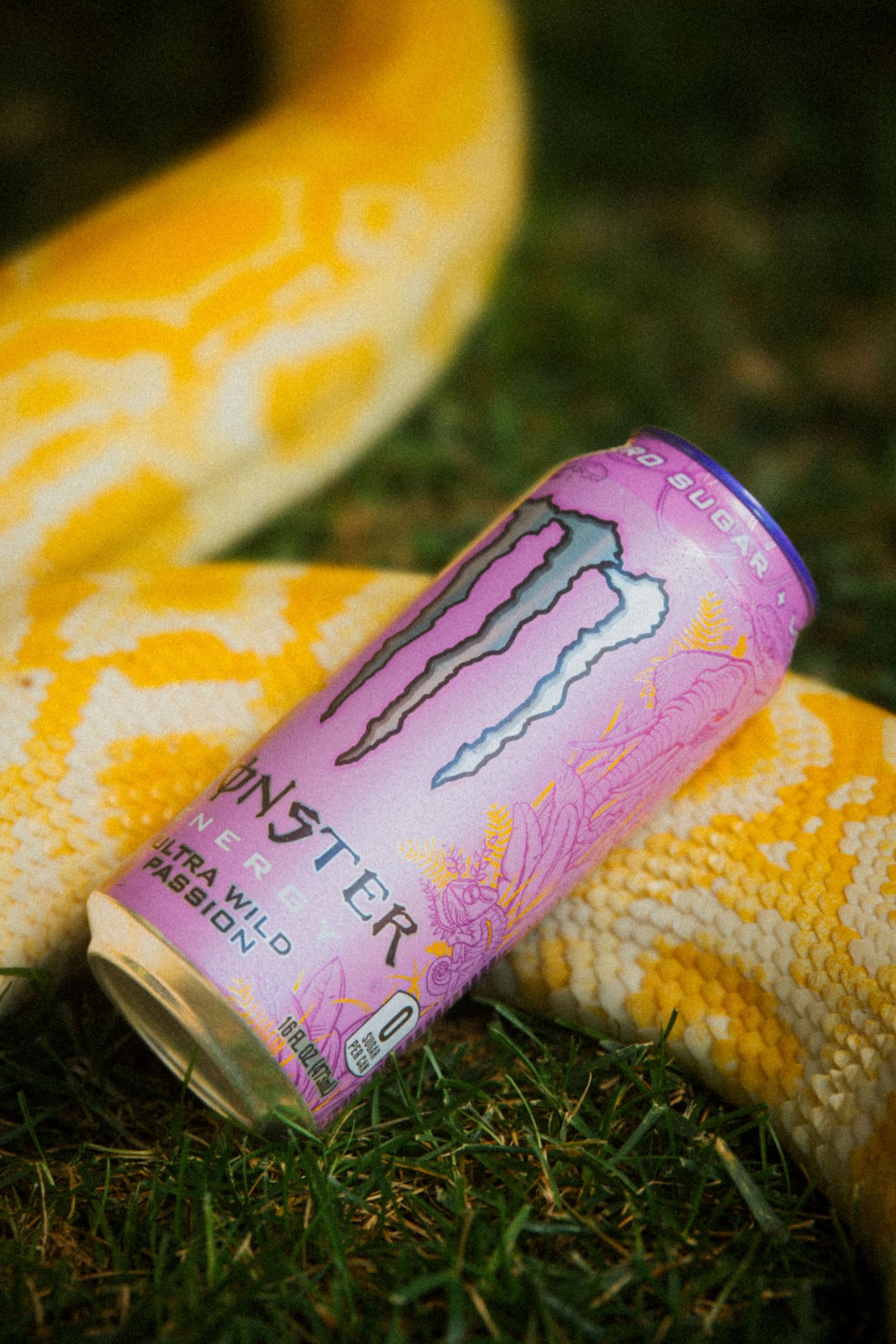 Monster Energy Ultra Wild Passion, Sugar Free Energy Drink, 16 Ounce (Pack of 15)