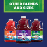 Ocean Spray® Cran-Apple™ Cranberry Apple Juice Drink, 101.4 Fl Oz Bottle (Pack of 1)