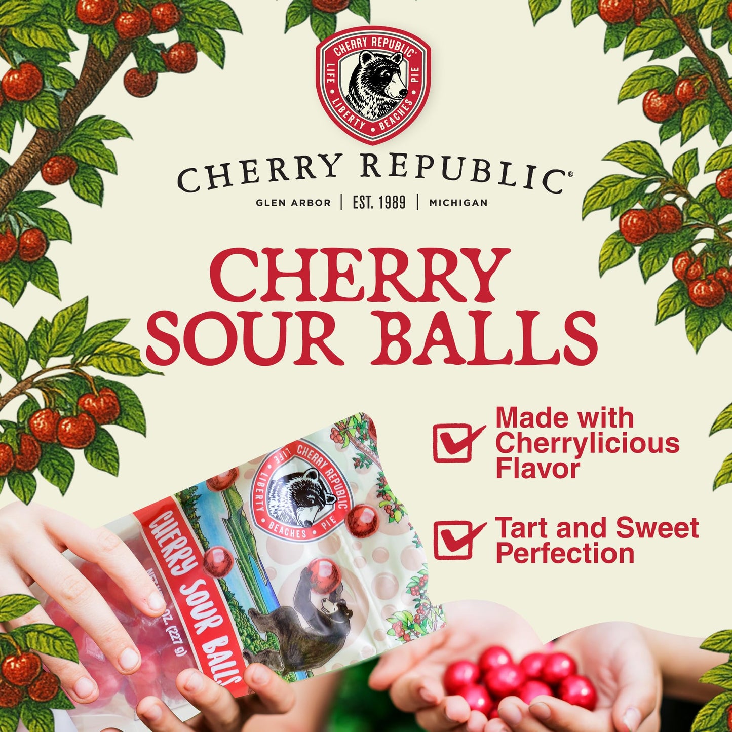 Cherry Republic Sour Balls, 8 oz - Sour Cherry Candy Balls, Sweet & Tart Flavor, Chewy Red Candy with Nostalgic Appeal, Gluten-Free, Perfect