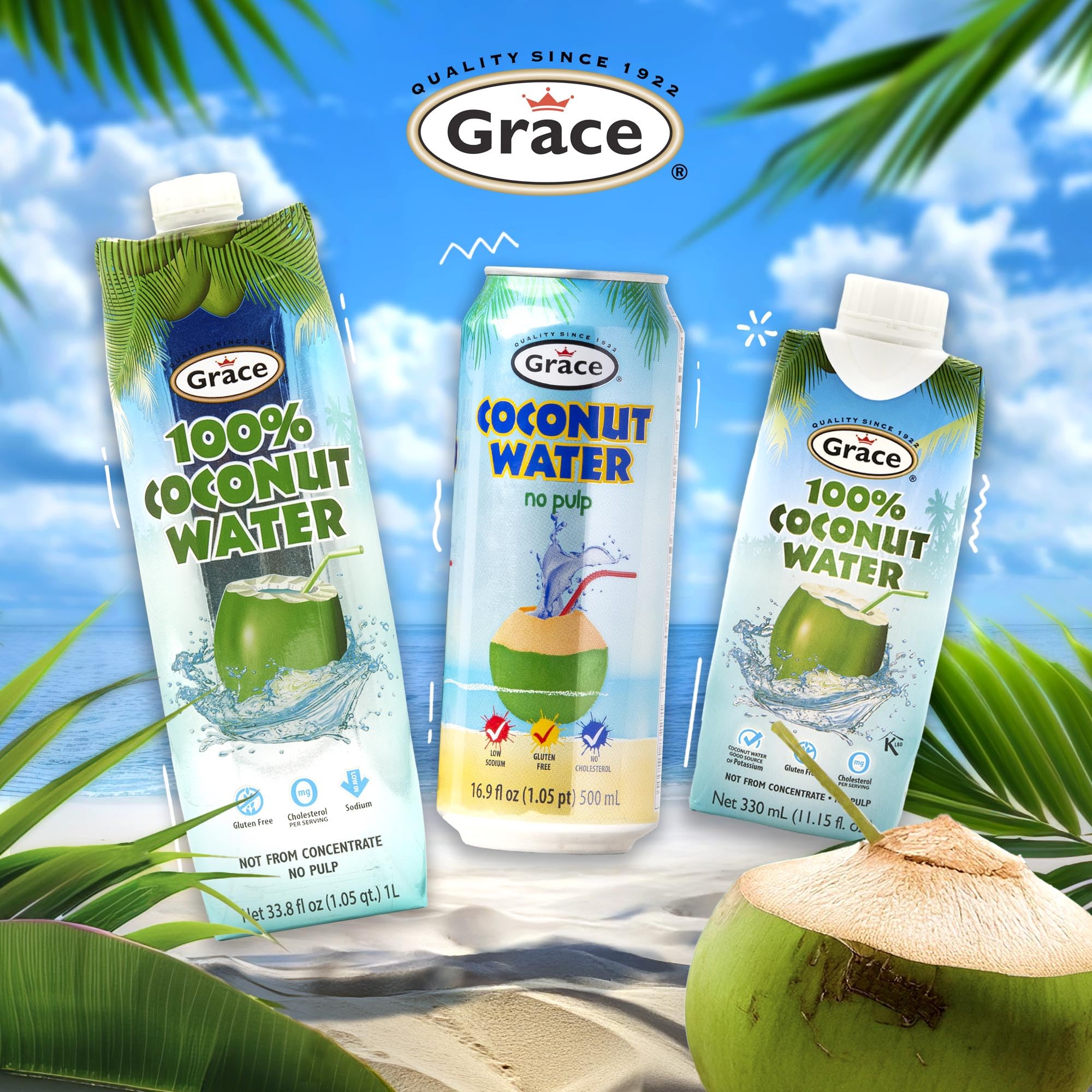 Grace Coconut Water Can with Real Coconut Pieces - 2 Pack 500ml - Agua de Coco