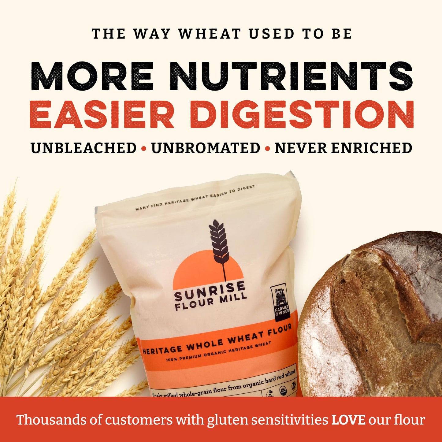 Sunrise Flour Mill Heritage Organic Whole Wheat Flour - 5 lbs | Milled from red hard wheat within 10 Days | Easier to Digest with Less Bloating | No