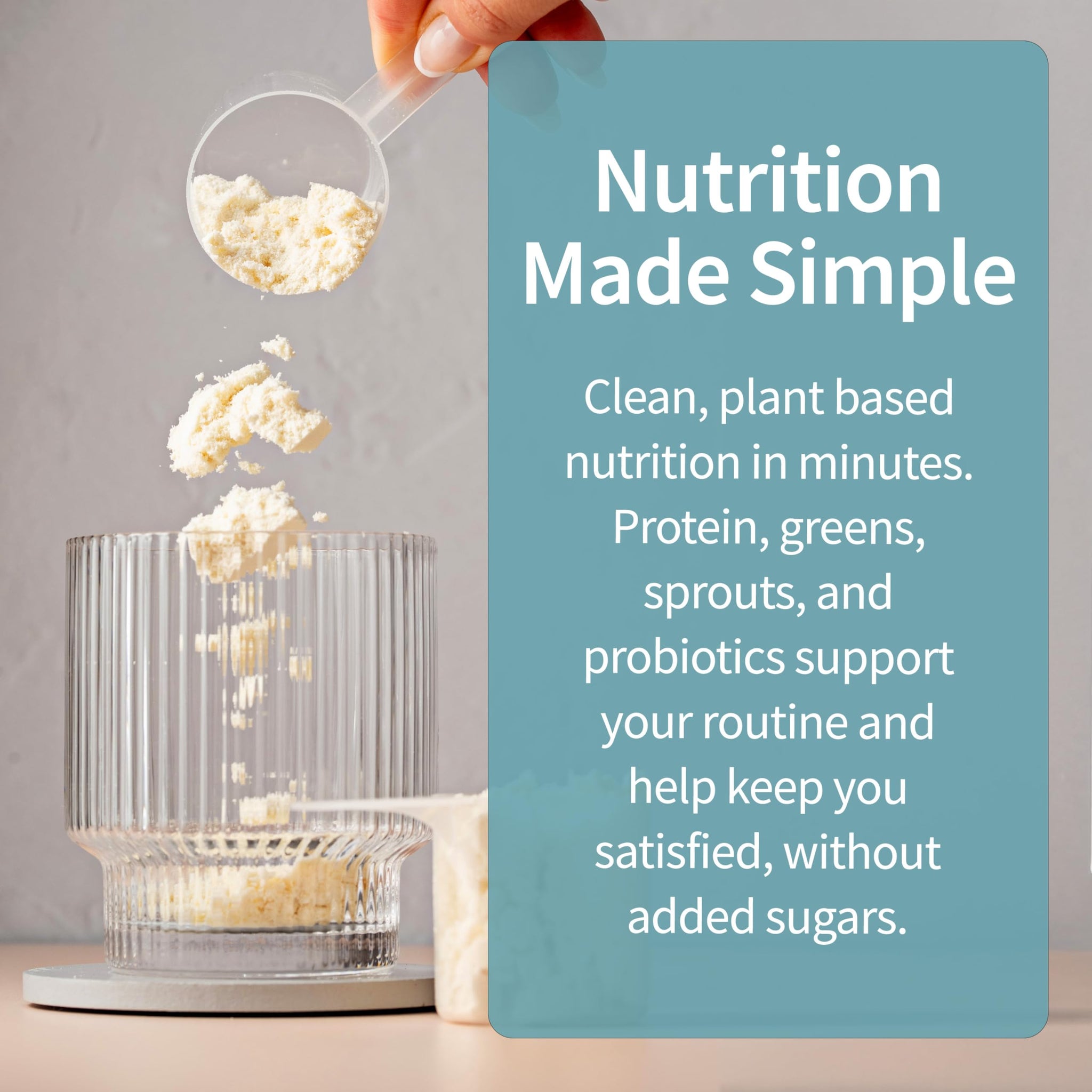 Garden of Life Meal Replacement Shakes, Vegan Protein Powder, Raw Organic Meal, Lightly Sweet Powder with Plant Based Pea Protein, Sprouts, Greens