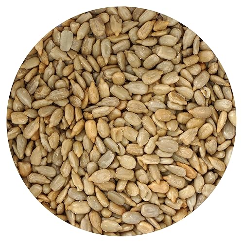Sunflower Seeds Roasted and Salted, 1 Pound Bag, Sunflower Seeds No Shell, 16 Ounce Bulk Bag