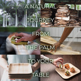Compostable Square Palm Leaf Plates 10 Inch with Forks & Knives (50 Each) - Like Bamboo Plates, Disposable Party Plates, Biodegradable, Eco-Friendly