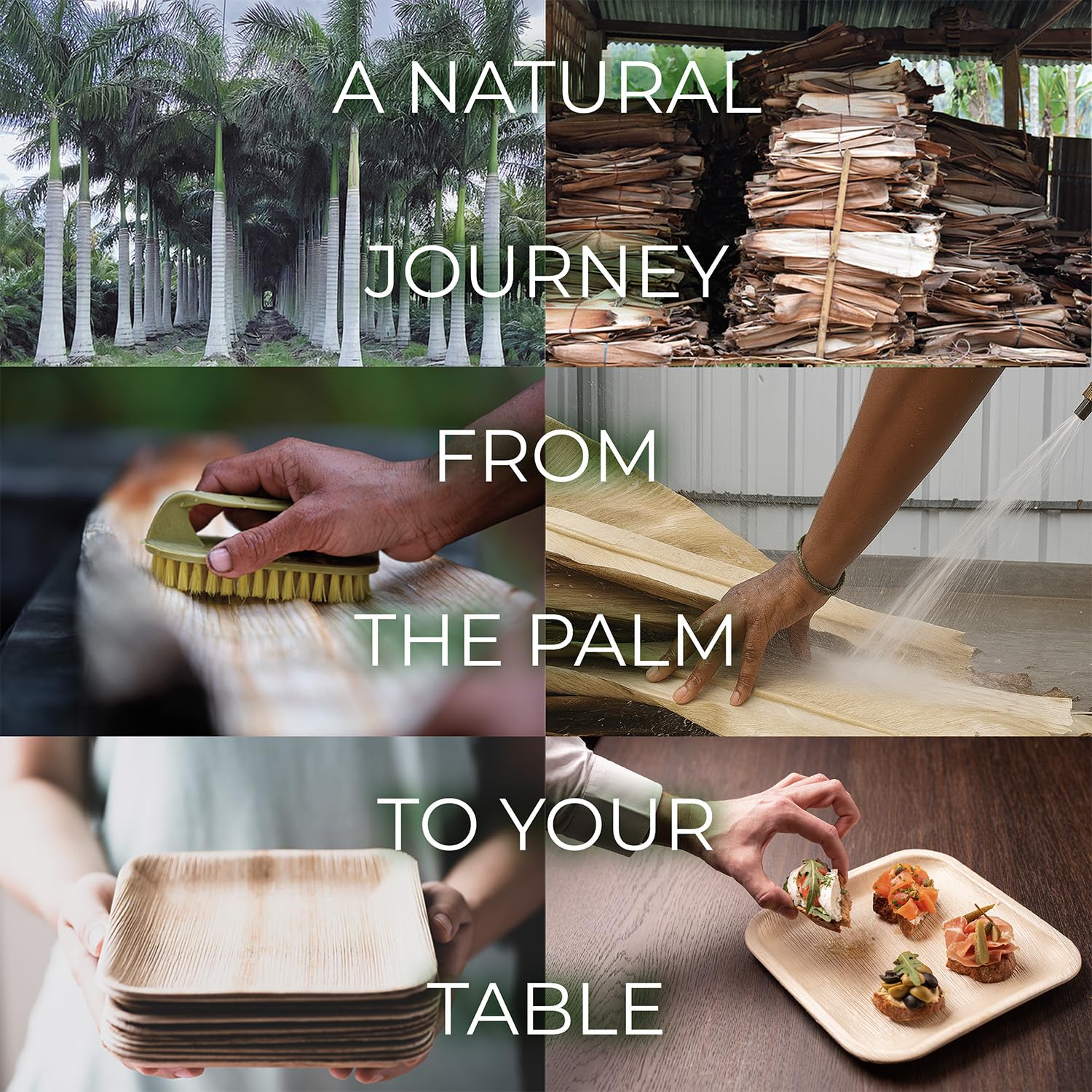 Compostable Square Palm Leaf Plates 10 Inch with Forks & Knives (50 Each) - Like Bamboo Plates, Disposable Party Plates, Biodegradable, Eco-Friendly