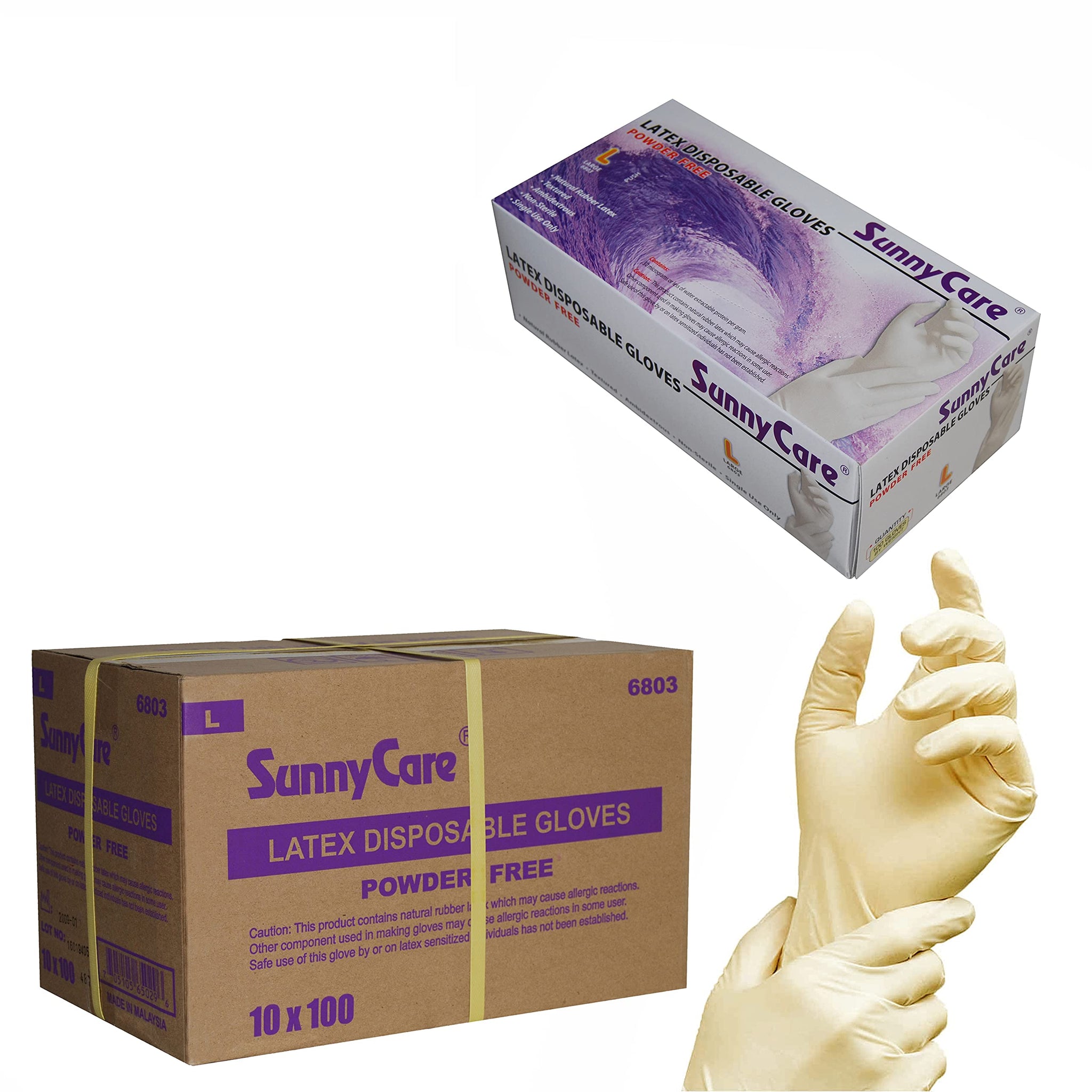 SunnyCare Latex Disposable Gloves Powder-Free, Box of 100, Total of 10 Boxes, Large (1000 Count)