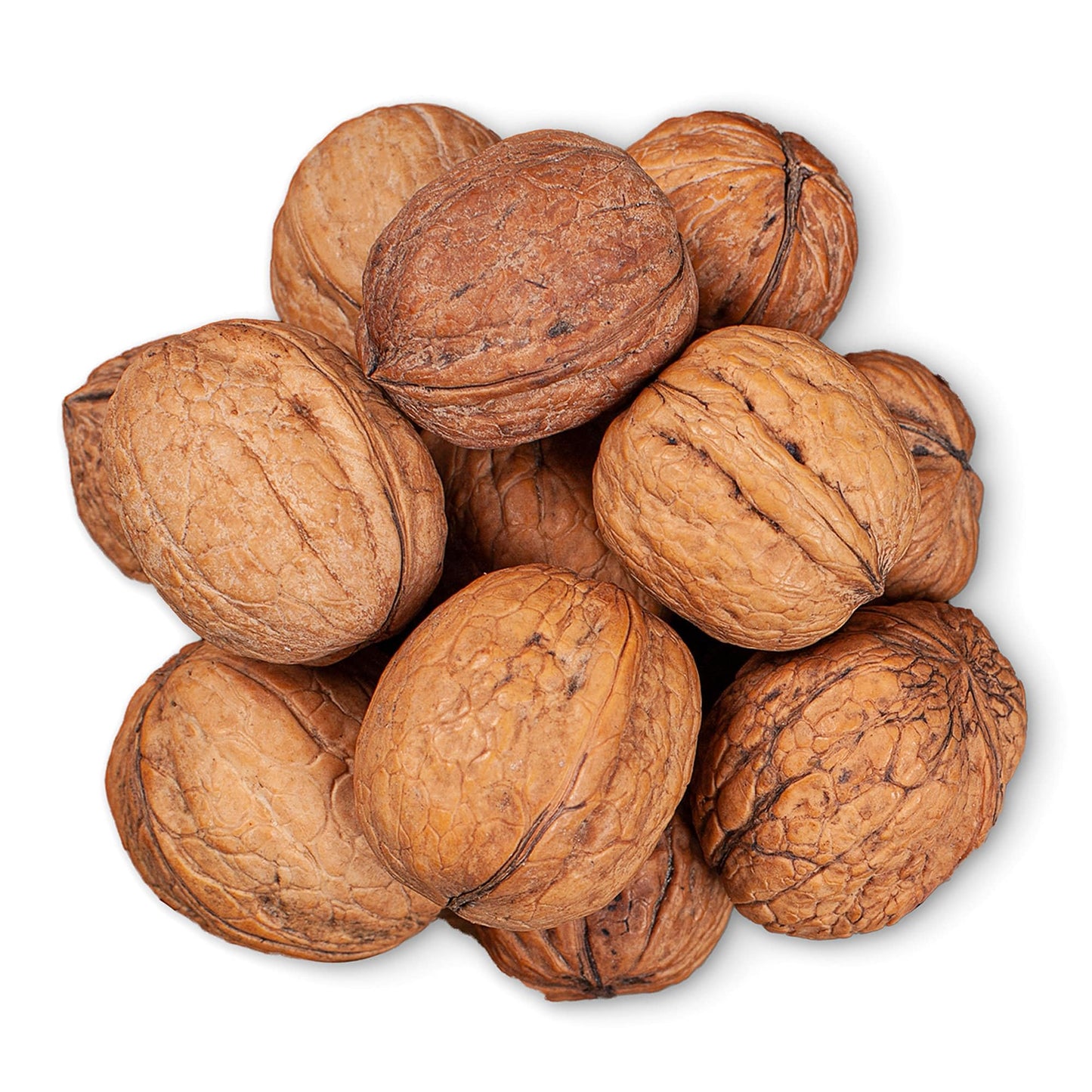 Food to Live Jumbo Walnuts in Shell, 5 Pounds - California Chandler Variety. Rich in Omega-3s and Antioxidants. Keto-Friendly, Fresh, Raw, Kosher