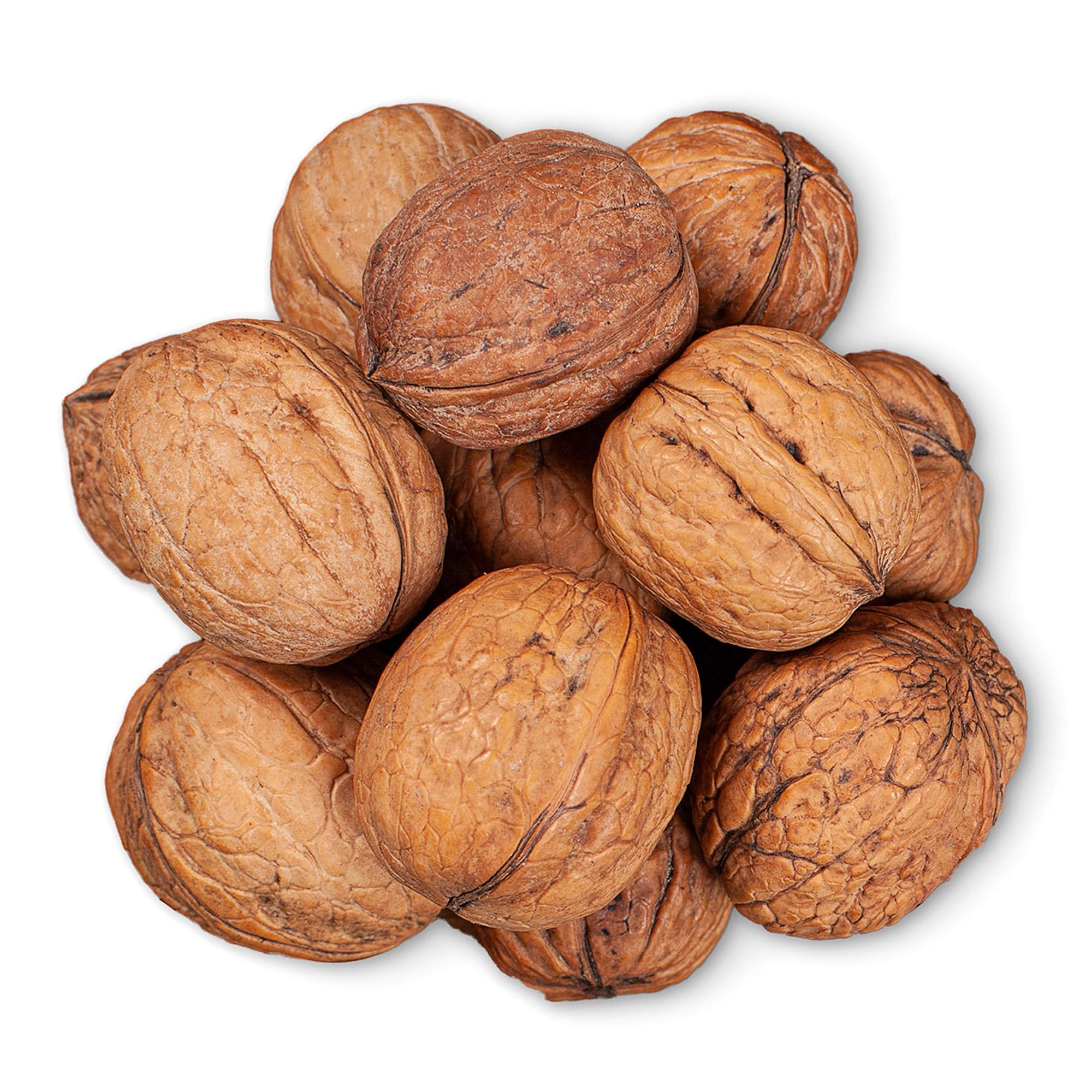Food to Live Jumbo Walnuts in Shell, 5 Pounds - California Chandler Variety. Rich in Omega-3s and Antioxidants. Keto-Friendly, Fresh, Raw, Kosher