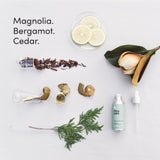 Dirty Labs | Signature Scent | Laundry Fragrance Oil and Glass Dropper | 80mL (2.7 fl oz) | Magnolia, Bergamot, and Cedar Blend | Laundry Scent
