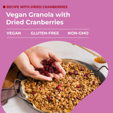 Amrita Dried Cranberries 1 lb | Sweetened with Apple Juice, Unsulfured, Gluten Free, non-GMO, No Preservatives | Packed Fresh in Resealable Bags |