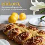 Jovial Einkorn 100% Organic Wheat Berries - Einkorn Berries, Organic Farro, High Protein, Non-GMO, USDA Certified, Lower Carb, Whole Grain, Product of Italy - 16 Oz, 3 Pack