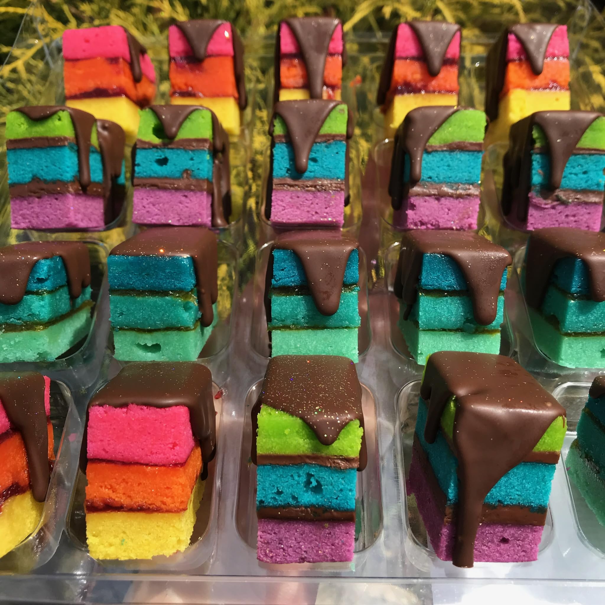 Zola Bakes Assorted Rainbow Cookies