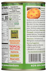 Native Forest Pineapple Slices Organic, 15 oz
