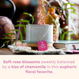 Organic India Tulsi Sweet Rose Herbal Tea - Holy Basil Leaf, African Basil, Chamomilie, Lemon Myrtle, Stress Relieving, Immune Support, USDA Certified