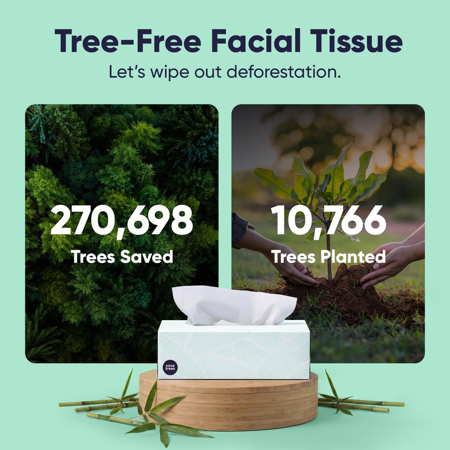 Save Trees Bamboo Facial Tissues -24 Boxes- Bamboo Tissue Boxes, 90 Hypoallergenic Facial Tissues per Box - Unscented, Fragrance-Free, Eco-Friendly