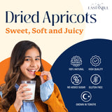 Eastanbul Dried Apricots, 14.5oz, Apricots Dried Fruits Snacks, No Sugar Added, Premium Turkish Fruit Yet Moist & Plump, Guilt-Free, Non-GMO, Whole