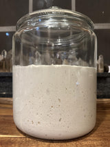 The Yeast We Can Do Dehydrated Sourdough Starter Kit - 3 Pack Active Dry Starter Culture (75g Total) - Fast Activation, Long Shelf Life, Never Lose
