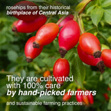 Arashan Whole Dried Rosehips 1 lb - 100% Natural Raw Rose Hips for Herbal Tea, Jam & Syrup - No Additives