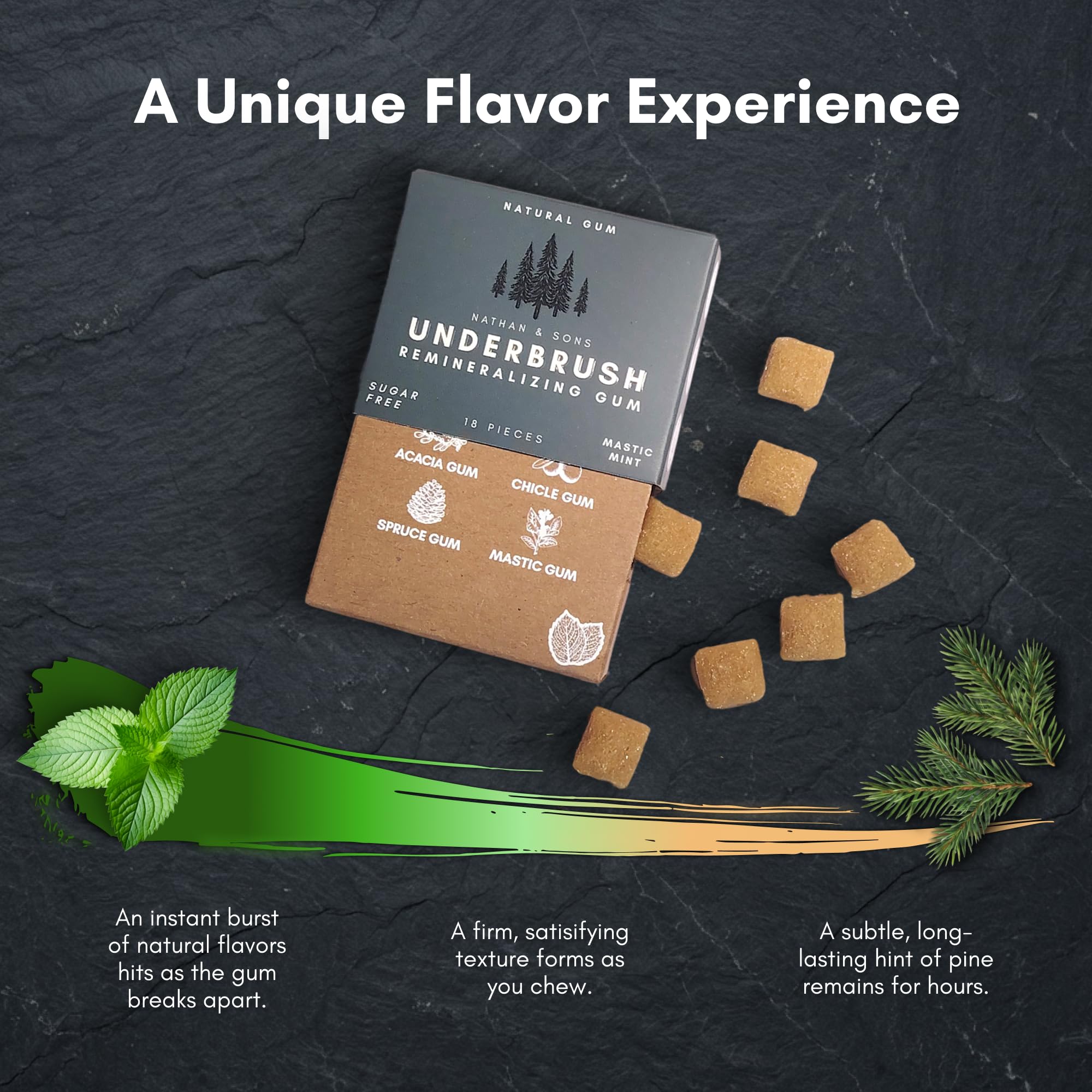 Underbrush Mastic Mint Remineralizing Natural Gum, Sugar Free Xylitol Gum with Hydroxyapatite, Supports Fresh Breath and Oral Health, Tree Sap Base