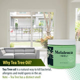 Melaleuca Gel All Natural Air Purifier, Odor Removing Freshener with 100% Australian Tea Tree Essential Oil. Clean air in moist basements, RV's