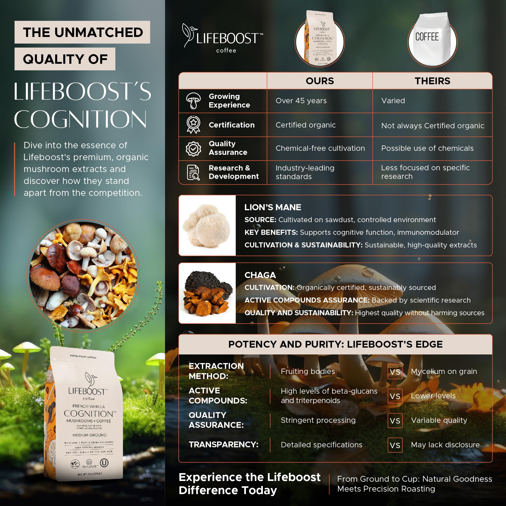 Lifeboost French Vanilla Cognition Mushroom Coffee - Low Acid Medium Organic Coffee with Nootropic Lions Mane & Chaga Mushrooms - Increase Energy