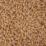 Spelt Berries, 1.5 Pound Bulk Bag, Hampton Distribution