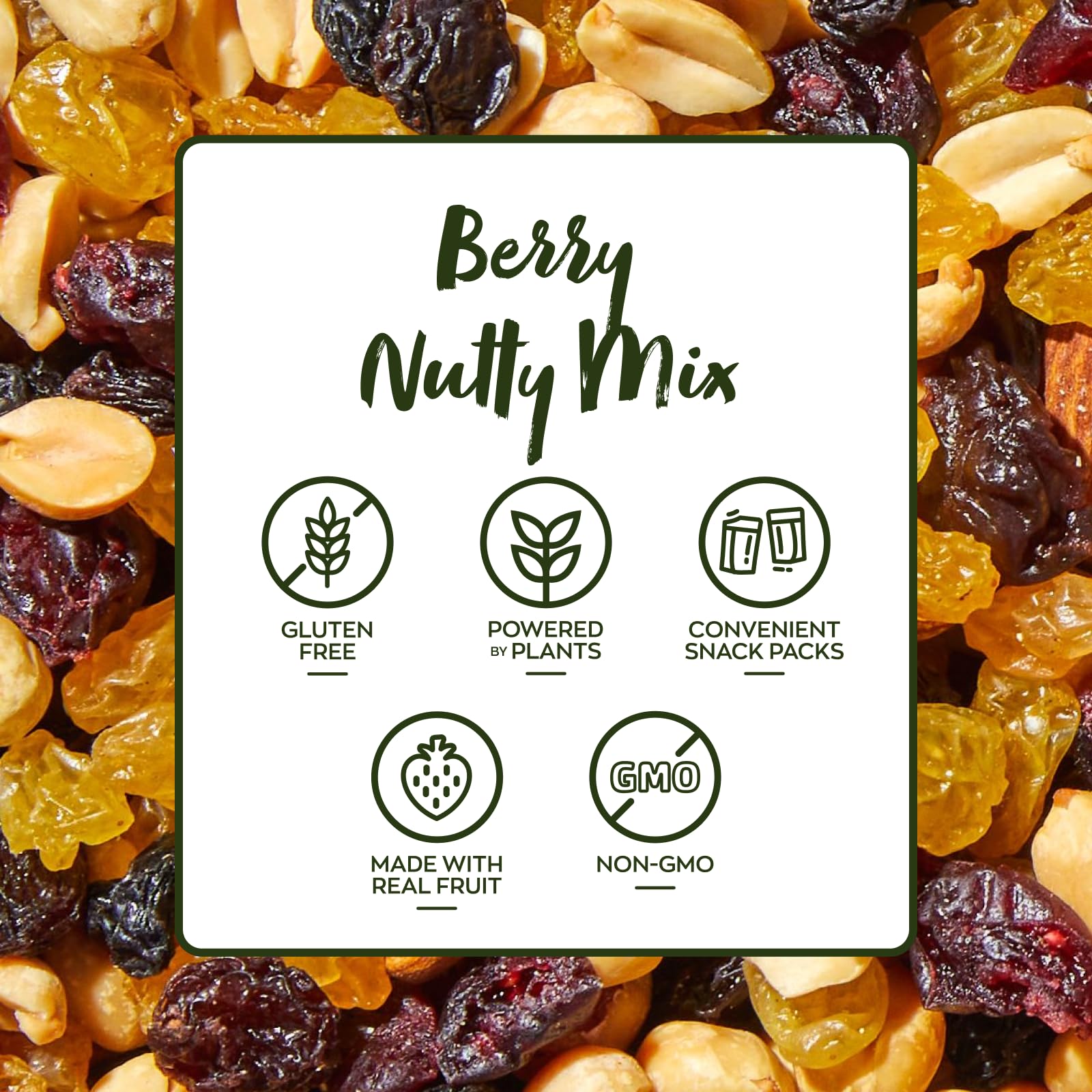 Natures Garden Berry Nutty Mix, Single Serve Bags - 18 Ounce (1.2 Ounce x 15 count)