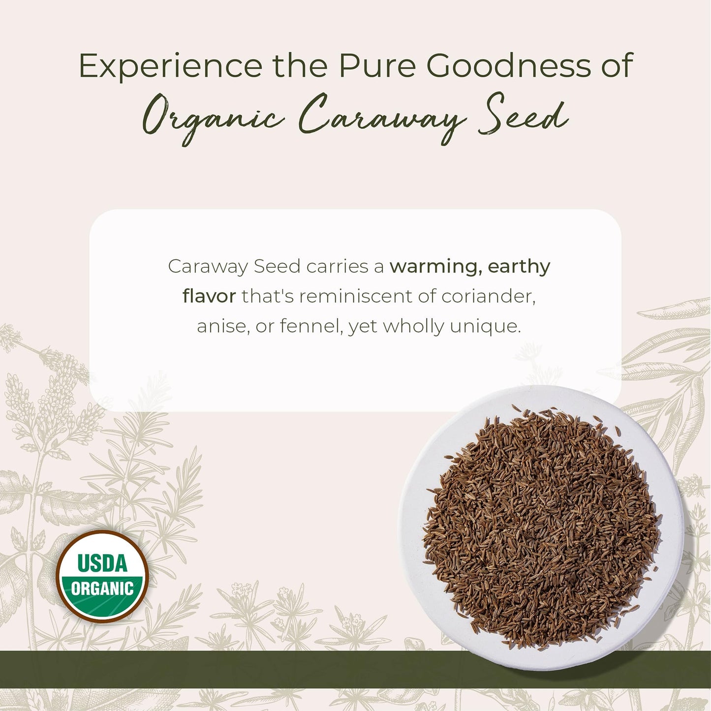 Starwest Botanicals Caraway Seed Organic - Seasoning Spice for Rye Bread, Sauerkraut, Harissa, Pickling, Baking & Cooking, Whole Caraway Seeds