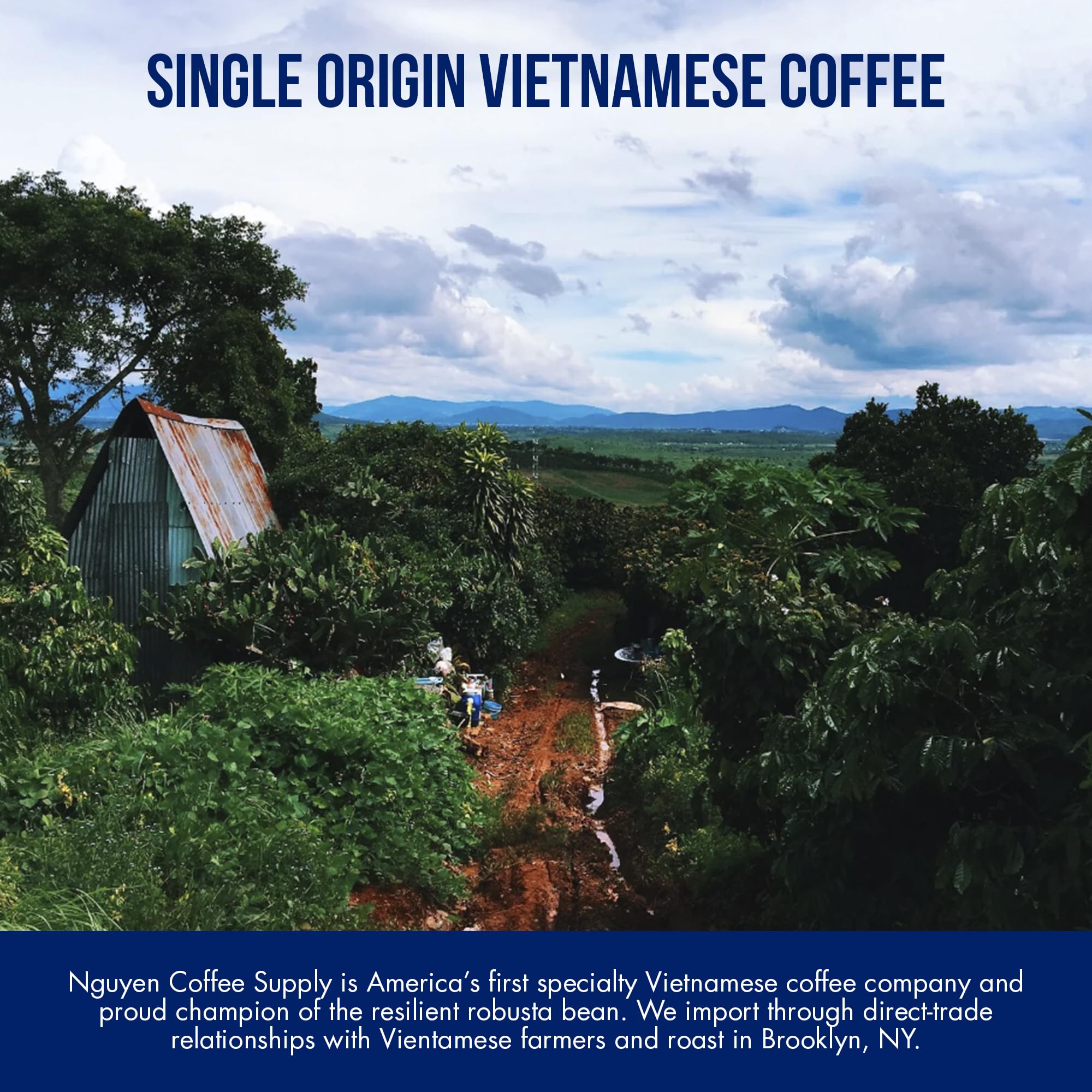 Nguyen Coffee Supply - Truegrit Robusta: Medium Roast Premium Whole Coffee Beans, Vietnamese Single Origin, Direct Trade, Low Acid with High Caffeine