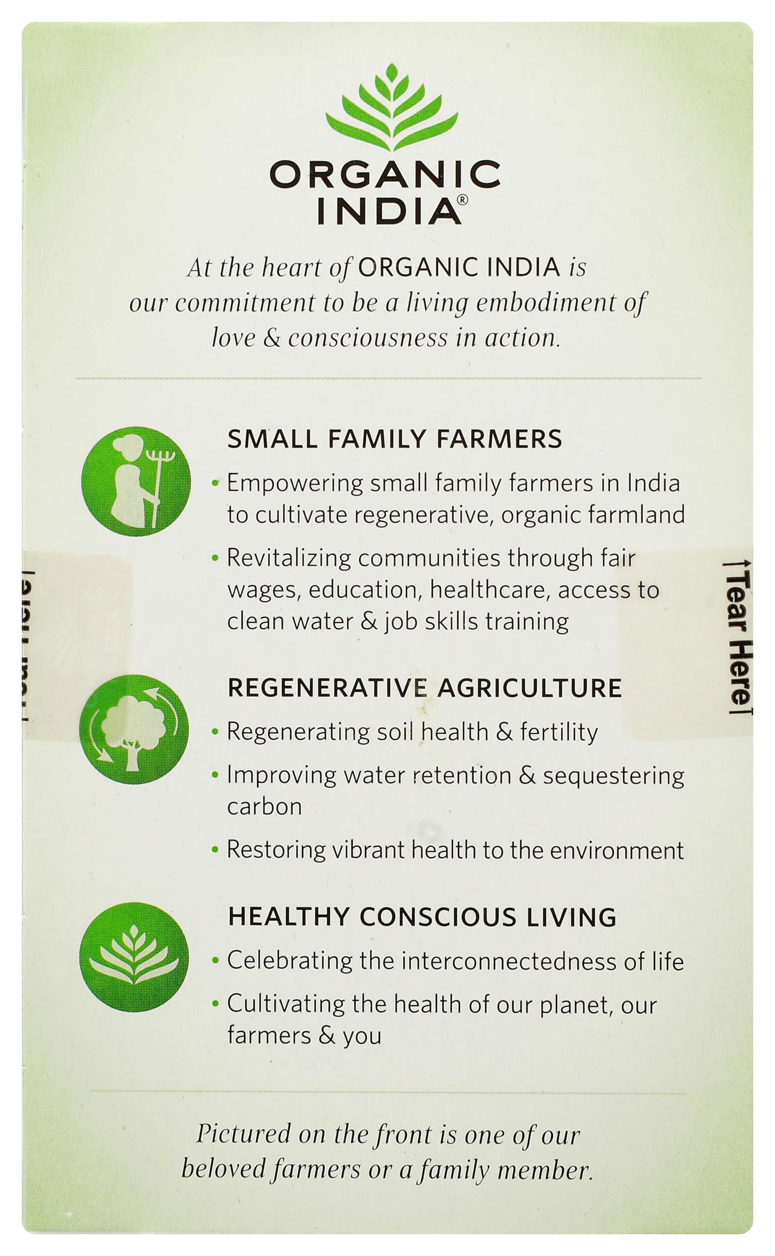 Organic India Organic Tulsi Green Tea, 18 CT