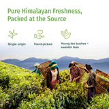 NEPAL TEA Organic Green Tea Loose Leaf - Premium USDA Certified Organic Loose Leaf Tea - Single Origin from Award Winning Family Farm in the Himalayas