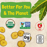 Barnana Himalayan Pink Salt Organic Plantain Scoops, Non GMO, Gluten Free, 5 Ounces (Pack Of 6)