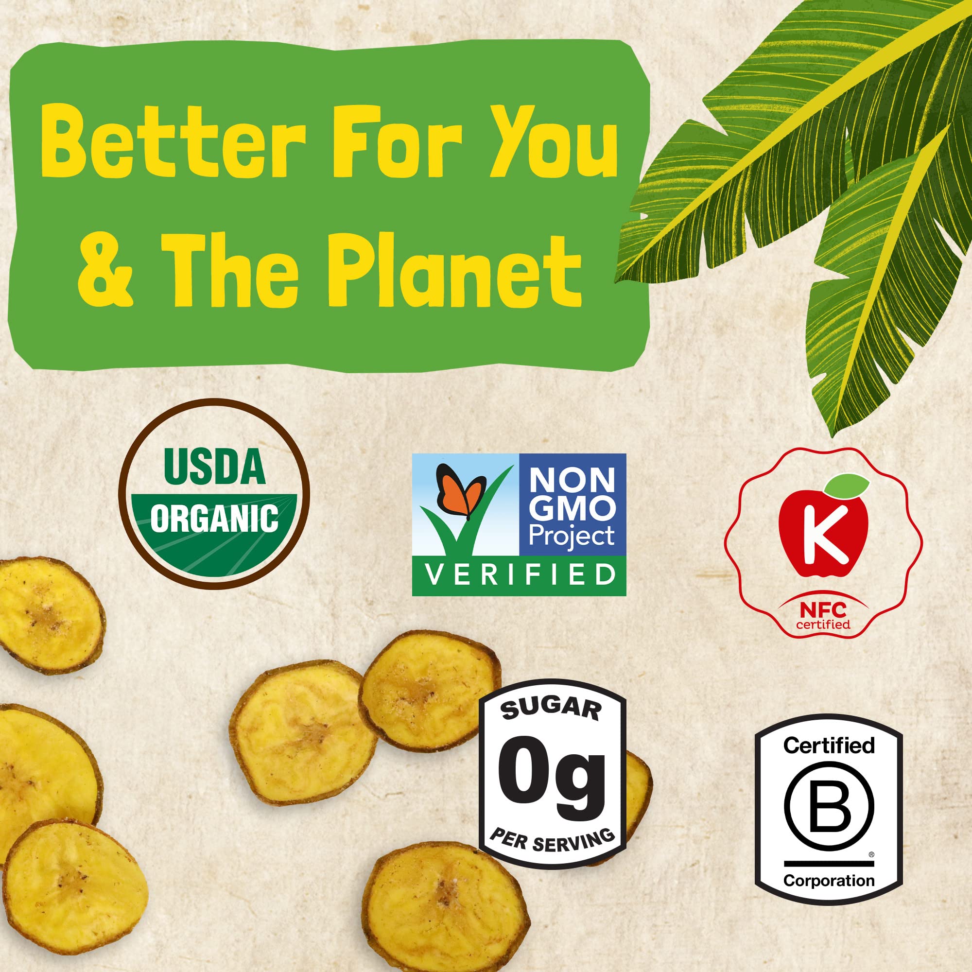 Barnana Himalayan Pink Salt Organic Plantain Scoops, Non GMO, Gluten Free, 5 Ounces (Pack Of 6)