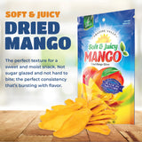 Dried Mango Slices - Delicious Texture Soft & Juicy Low Sugar Added Dried Mango - Naturally Ripened Mangos Dried Fruits - Gluten Free Dry Mangoes