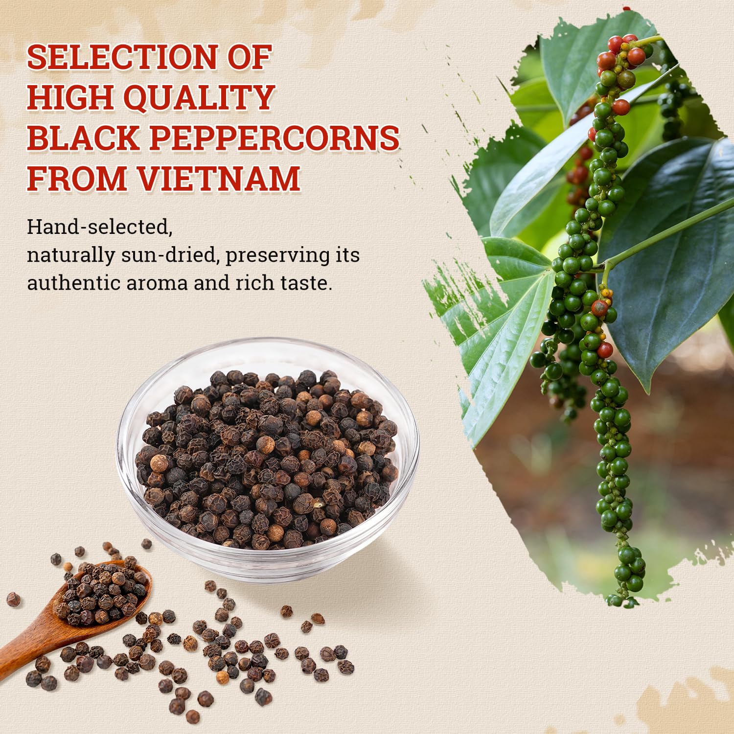 52USA Whole Black Peppercorns, 18oz (Pack of 1), Peppercorns for Grinder Refill, Gluten-Free, Kosher, Non-GMO, All Natural Black Pepper, Perfect for