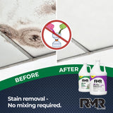 RMR Brands DIY Mold Remover Bundle - Complete Mold Killer & Stain Remover Bundle - Mold and Mildew Prevention Kit, Disinfectant Spray, Includes 2-1