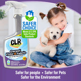 CLR Stain-Free Carpet, Floor & Fabric, Fast-Acting Stain Remover, 26 Ounce