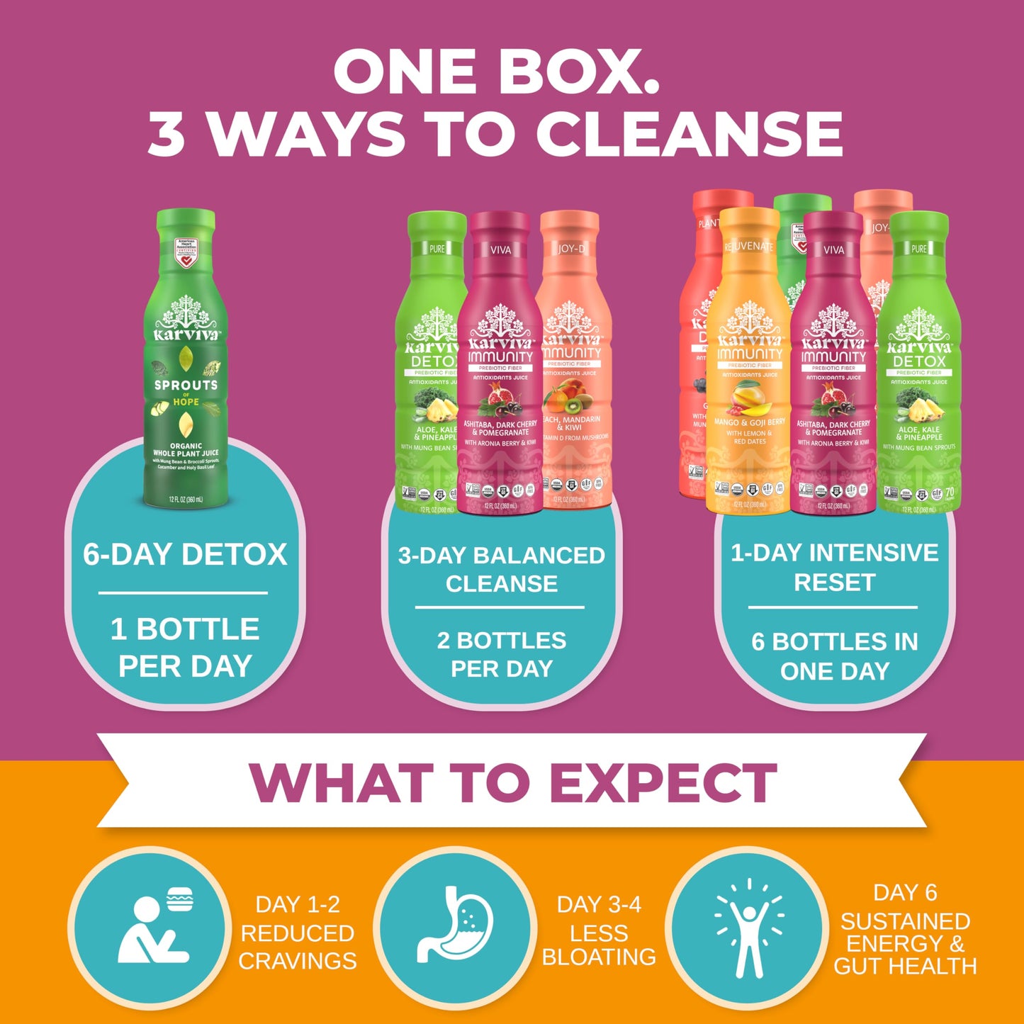 Karviva Organic Juice Cleanse Weight Control Pack - Ancient Remedies to Curb Sugar Cravings, Prebiotic Detox with Anti-Bloat Support, High Fiber