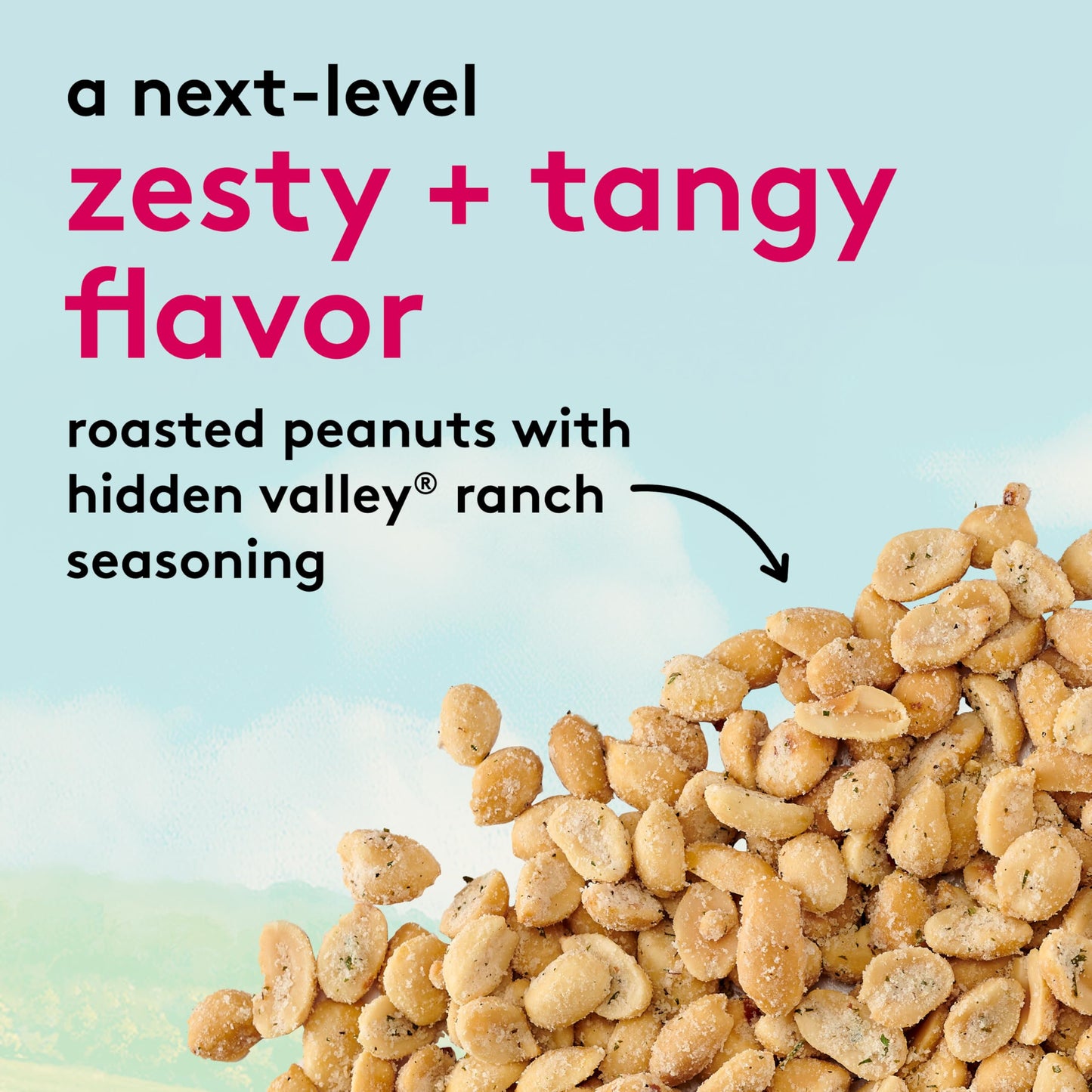 Snak Club Peanuts with Hidden Valley Ranch Seasoning, Roasted Nuts, Gluten-Free and Kosher Snack, 11 oz Resealable Bag