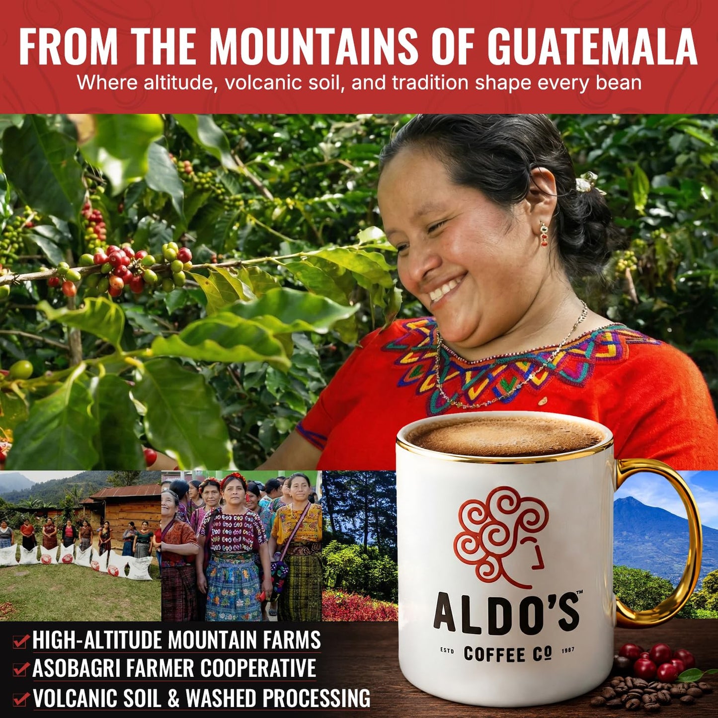 Aldo’s Coffee Company Guatemala Single Origin Ground Coffee, Organic Medium Roast, 100% Arabica from Guatemala, 16 oz (Medium Grind)