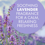 Arm & Hammer OdorBusterz ShapeMATE™, Lavender Flower, 4 Count - Decorative Odor Eliminator for Small Spaces