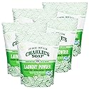 Charlie's Soap - Fragrance Free Laundry Powder - 100 Loads (Five 100-load Bags, 500 Total Loads)