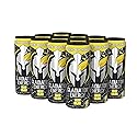 Gladiator Energy Drink, Sugar-Free, 12 Pack, Killer Kolada, 12oz Cans, with Creatine, BCAA, and 250mg Caffeine